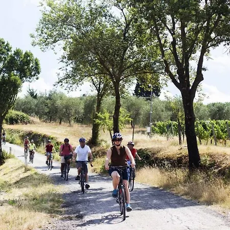 Bed & Breakfast Florida House 3*